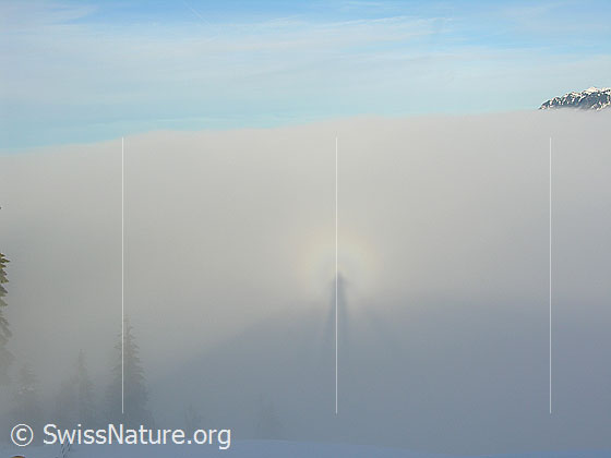 Foto: Von farbigen Ringen umgebenes Schattenbild (Brockengespenst) einer Person im Nebel dicht an der Nebelgrenze.