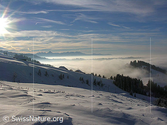 Foto: Blick vom Wachthubel über schneebedeckte Emmentaler Hügellandschaft mit Nebelmeer. Im Hintergrund die Stockhornkette.
