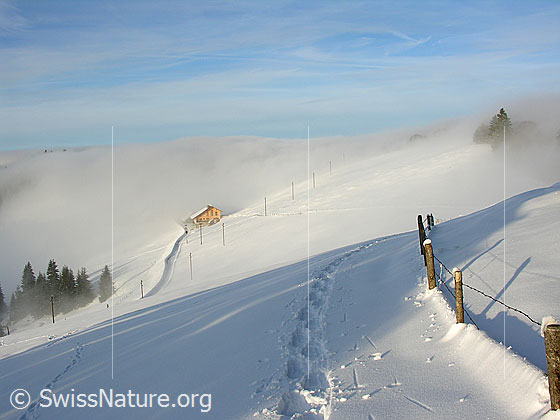Foto: Schneebedeckte Winterlandschaft mit Bauernhaus, Schneeschuhspur und Zaun an der Nebelgrenze bei Rämisgummen, Eggiwil.