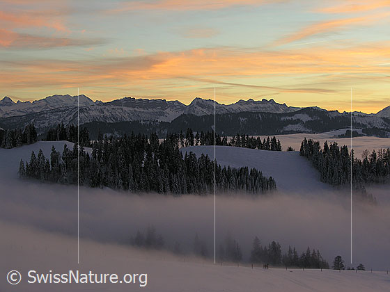 Foto: Abendstimmung mit rötlich gefärbten Wolken auf dem Rämisgummen, Eggiwil. Blick über das umfassende Nebelmeer zur Blüemlisalp, den Sieben Hengsten, Gemmenalphorn und Sigriswiler Rothorn. Davor schneebedeckte Emmentaler Hügellandschaft und Wälder umgeben von Nebelschwaden.