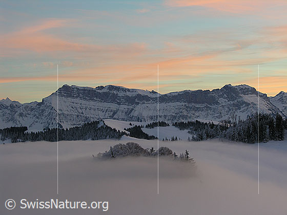 Foto: Abendstimmung mit rötlich gefärbten Wolken auf dem Rämisgummen, Eggiwil. Blick über das umfassende Nebelmeer zum Hohgant. Ein Wald ragt nur wenig aus dem Nebelmeer.