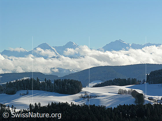 Foto: Winterlandschaft im Emmental mit Wäldern und Hügelzügen. Im Hintergrund Eiger, Mönch, Jungfrau und Wolken über den Tälern.