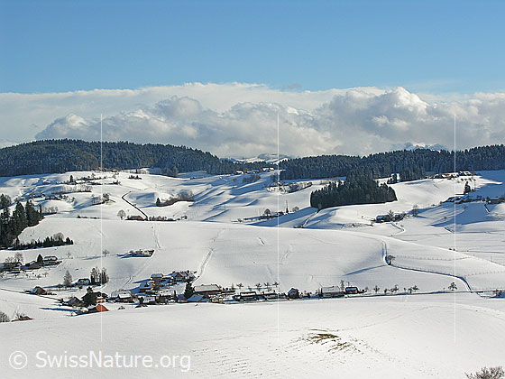 Foto: Winterlandschaft im Emmental mit Streusiedlung, Wäldern und Hügelzügen.