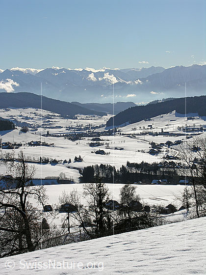 Foto: Winterlandschaft im Emmental mit schneebedeckter Hügellandschaft, Streusiedlung und bewaldeten Hügelzügen.