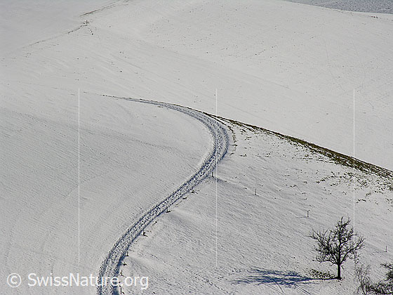 Foto: Fahrweg mit Kurven in Emmentaler schneebedeckter Hügellandschaft.