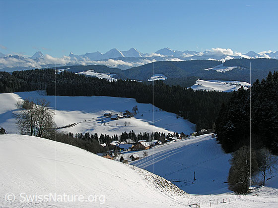Foto: Winterlandschaft des Emmentals mit Berner Alpen (Eiger, Mönch, Jungfrau) und Weiler in schneebedeckter Hügellandschaft.