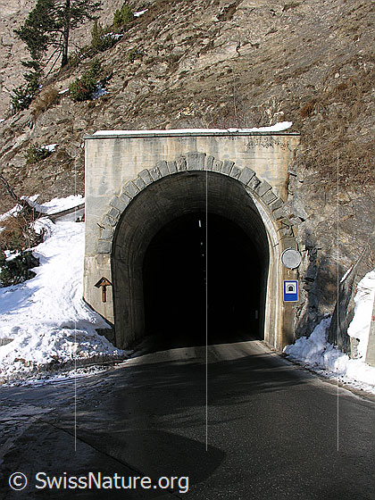 Foto: Tunneleingang bei Binn.