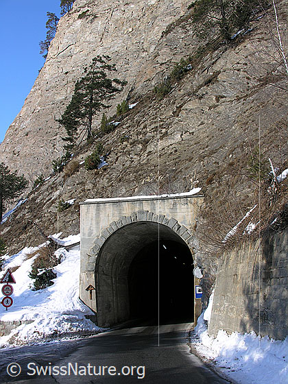 Foto: Tunneleingang bei Binn.