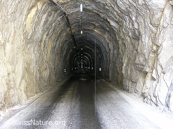 Foto: Blick in den Tunnel von Binn. Die Wände sind nicht ausgegkleidet.