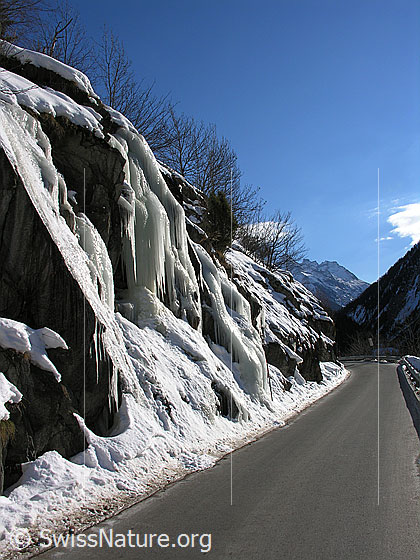 Foto: Grosse Eiszapfen säumen die Strasse bei Ausserbinn.