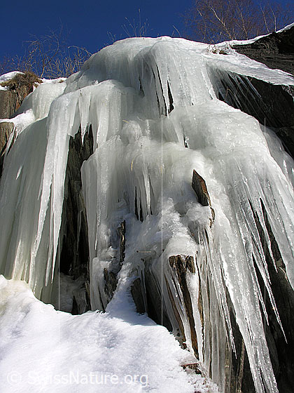 Foto: Grosse Eiszapfen hängen über eine Felsstufe.