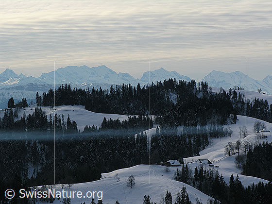 Foto: Blick vom Vorderarni über schneebedeckte und bewaldete Emmentaler Hügellandschaft mit feiner Nebelschicht Richtung Berner Alpen. Zu sehen sind Blüemlisalp, Doldenhorn, Balmhorn und Altels.