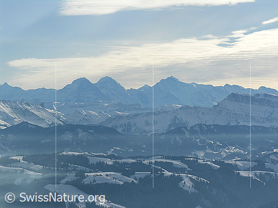 Foto: Blick vom Farnliesel über schneebedeckte Emmentaler Hügellandschaft zu den Berner Alpen mit Eiger, Mönch und Jungfrau.