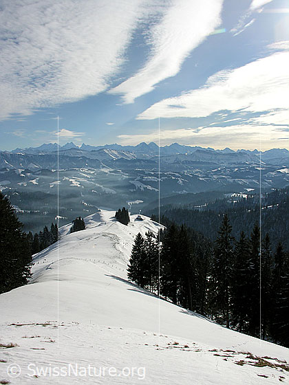 Foto: Blick vom Farnliesel über schneebedeckte Krete auf Emmentaler Hügellandschaft Richtung Berner Alpen. Schleierwolken bilden interessante Muster am Himmel.