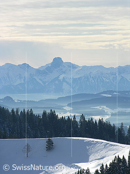 Foto: Blick vom Farnliesel über die schneebedeckte Krete der Hohmatt zum Stockhorn.