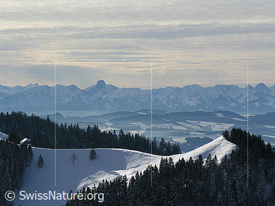 Foto: Blick vom Farnliesel über die schneebedeckte Krete der Hohmatt zum Stockhorn. Der Himmel ist mit einer Wolkenschicht überzogen.
