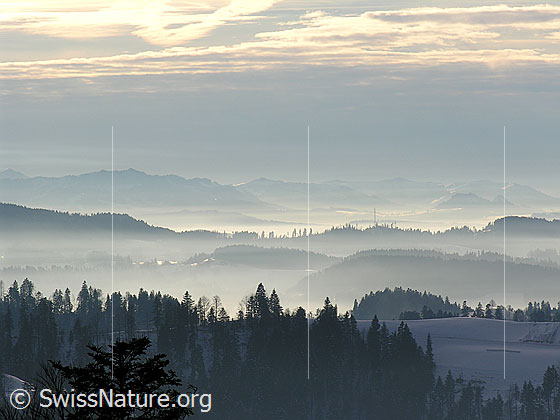 Foto: Blick vom Vorderarni über schneebedeckte Emmentaler Hügellandschaft mit feinen Nebelschichten in den Tälern und bewölktem Himmel.