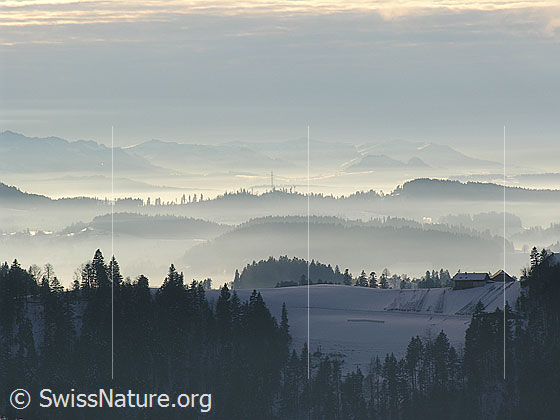 Foto: Blick vom Vorderarni über schneebedeckte Emmentaler Hügellandschaft mit feinen Nebelschichten in den Tälern und bewölktem Himmel.