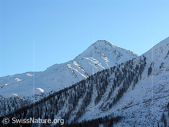 Foto: Schneebedeckte Berglandschaft mit Brudelhorn und bewaldeter Bergflanke.