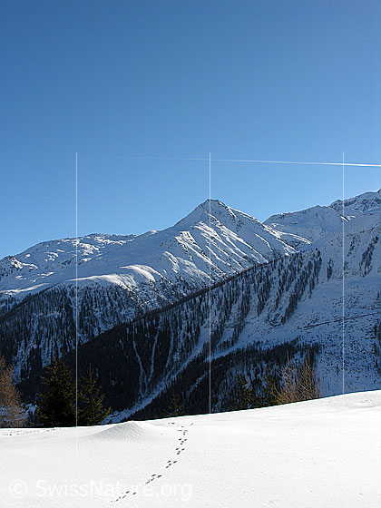 Foto: Winterlandschaft mit Brudelhorn und Wildspur (Schneehase).