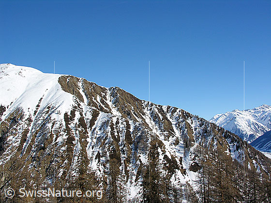 Foto: Erosionskessel Löwene oberhalb Münster.