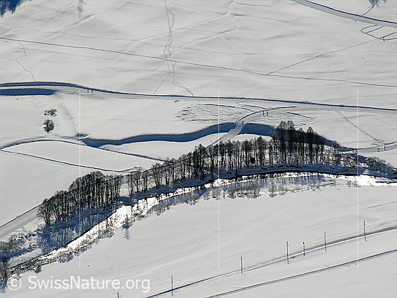 Foto: Tiefblick ins Obergoms auf Loipen, Rotten, Hecke und Trasse der Matterhorn-Gotthard Bahn.
