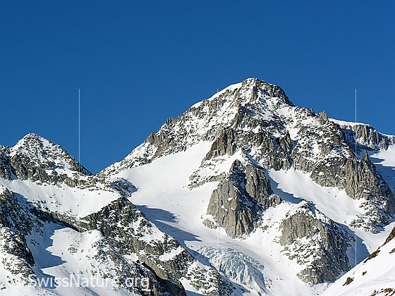 Foto: Gälmjinihörner, Vorder Galmihorn und Bächigletscher.