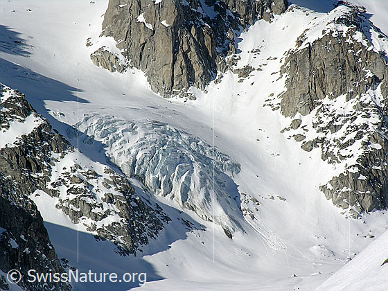 Foto: Seitenarm des Bächigletscher mit Gletscherabbruch.