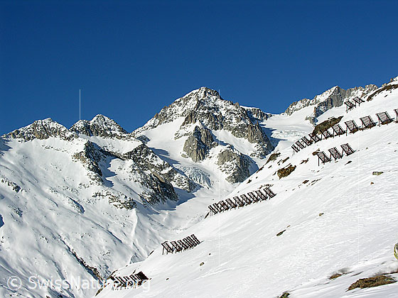 Foto: Vorder Galmihorn und Lawinenverbauungen am Bächigalen.