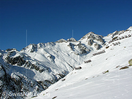 Foto: Taleinschnitt des Bächital und Vorder Galmihorn. Die Berglandschaft ist schneebedeckt. An der Flanke des Bächigalen sind Lawinenverbauungen zu sehen.