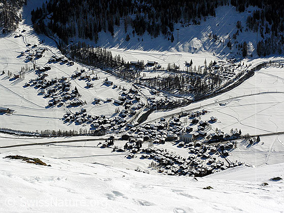 Foto: Tiefblick vom Bächigalen auf das Dorf Reckingen im schneebedeckten Talboden. Die Rotten  (Rhone) fliesst mitten durch das Siedlungsgebiet. Am Dorfrand mündet die Blinne in den Fluss.