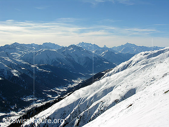 Foto: Goms und Walliser Hochalpen (Fletschhorn, Lagginhorn, Mischabel, Matterhorn, Weisshorn).