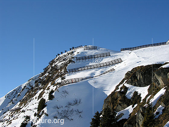 Foto: Lawinenverbauungen an Felskopf und Bergflanke.