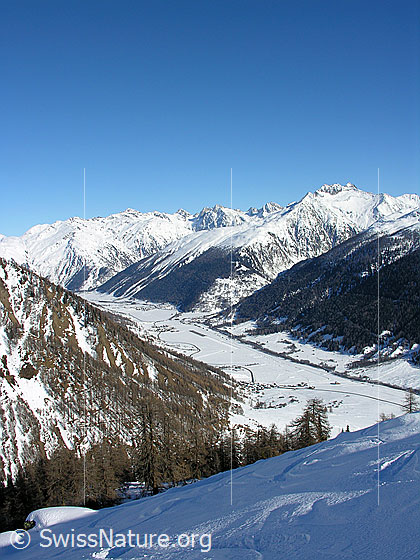 Foto: Tiefblick ins schneebedeckte Obergoms und auf das Dorf Geschinen im Talboden. Im Hintergrund sind Tällistock, Muttenhörner, Saashörner, Pizzo Rotondo, Blashorn, Galmihorn, Mittaghorn und Pizzo Gallina zu sehen.