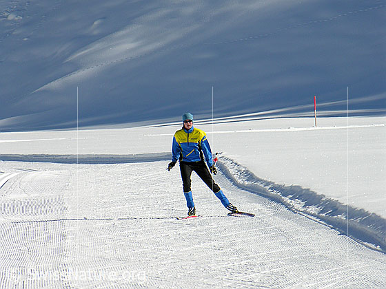 Foto: Langläuferin auf Gomerloipe.