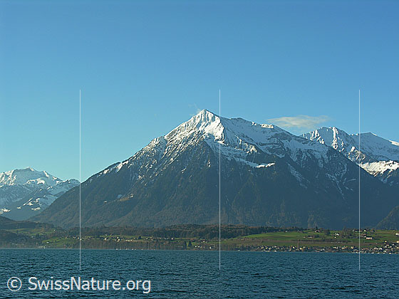 Foto: Blick über den Thunersee zum Niesen, welcher in der Gipfelregion noch schneebedeckt ist.