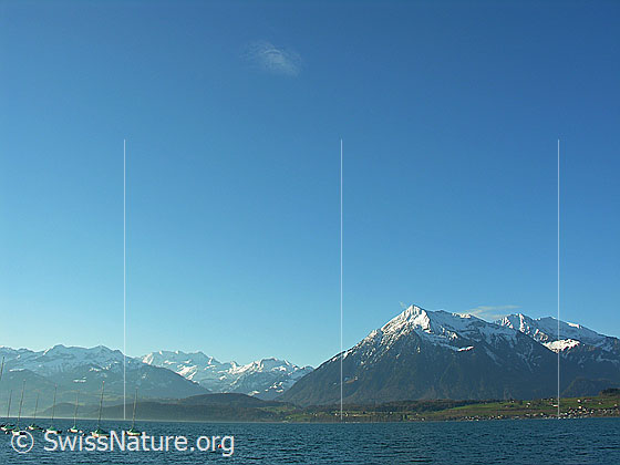 Foto: Blick über den Thunersee mit verankerten Segelbooten zum Niesen. Im Hintergrund ist die Blüemlisalp zu sehen.