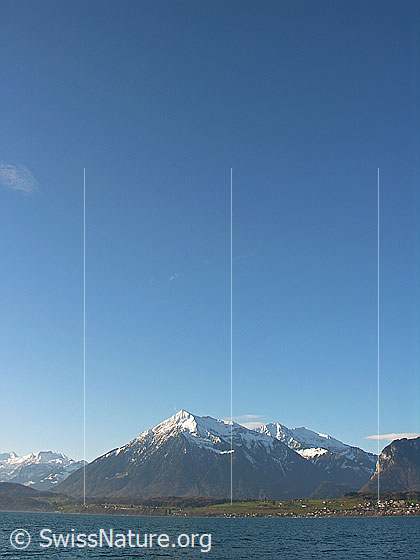 Foto: Blick über den Thunersee zum Niesen, welcher in der Gipfelregion noch schneebedeckt ist.