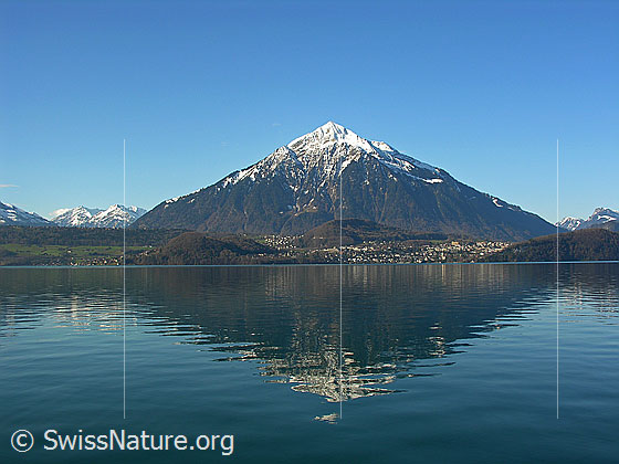 Foto: Blick über den Thunersee zum Niesen, welcher in der Gipfelregion noch schneebedeckt ist. Im See ist die Spiegelung des Niesens zu sehen.