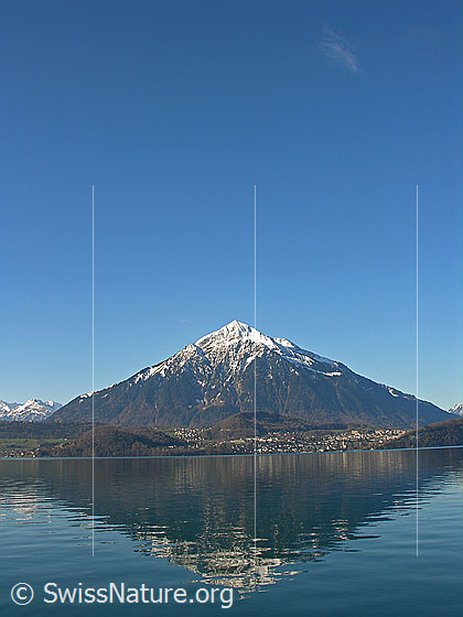 Foto: Blick über den Thunersee zum Niesen, welcher in der Gipfelregion noch schneebedeckt ist. Im See ist die Spiegelung des Niesens zu sehen.
