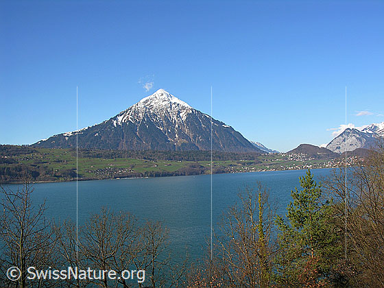Foto: Blick über den Thunersee zum Niesen, welcher in der Gipfelregion noch schneebedeckt ist. Ganz rechts ist die Simmenflue zu sehen.