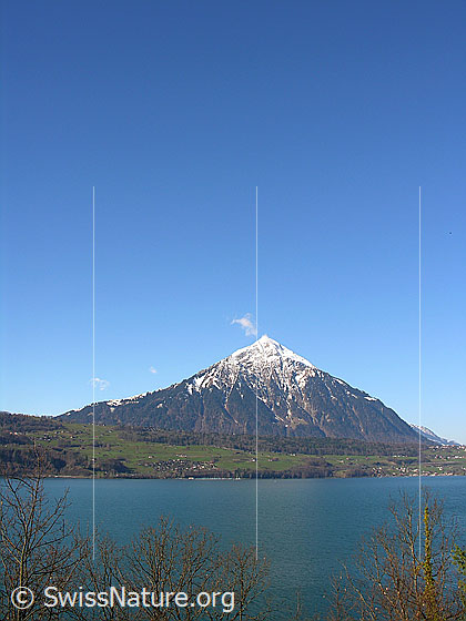 Foto: Blick über den Thunersee zum Niesen, welcher in der Gipfelregion noch schneebedeckt ist.