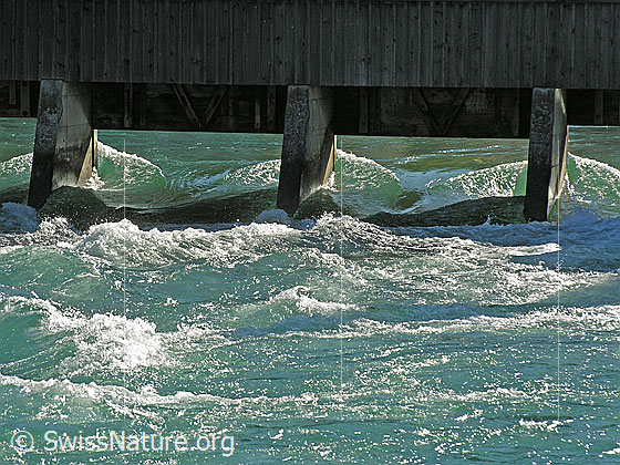 Foto: Stauwehr in Thun, durch welches die Aare aus dem Thunersee fliesst (Ausschnitt).