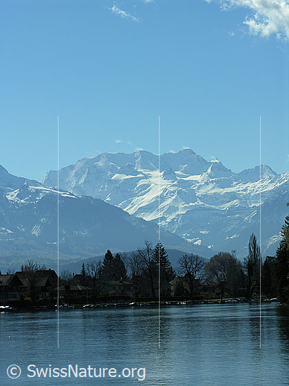 Foto: Blick über den Thunersee zur Blüemlisalp.