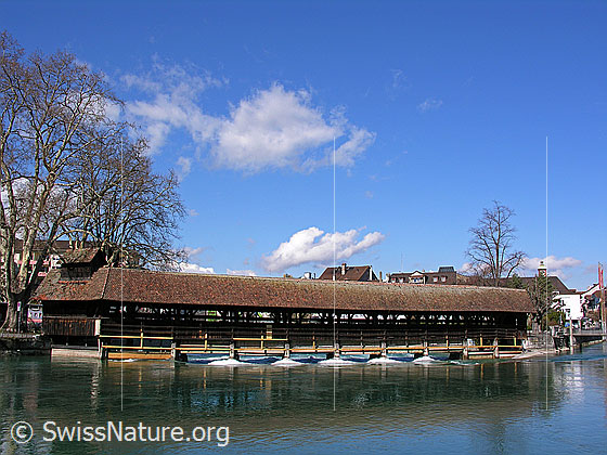 Foto: Wasserwehr in Thun, durch welches die Aare aus dem Thunersee fliesst. Die gedeckte Brücke spiegelt sich schwach im Wasser.