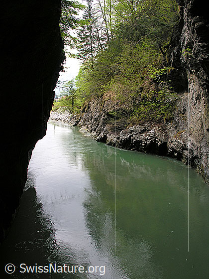 Foto: Ende der Aareschlucht. Hier verlässt die Aare die Schlucht und fliesst an Meiringen vorbei weiter Richtung Brienzersee. Mit leichter Spiegelung.