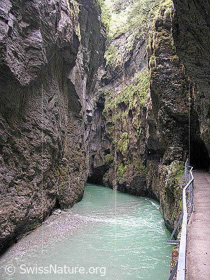 Foto: In der Aareschlucht.