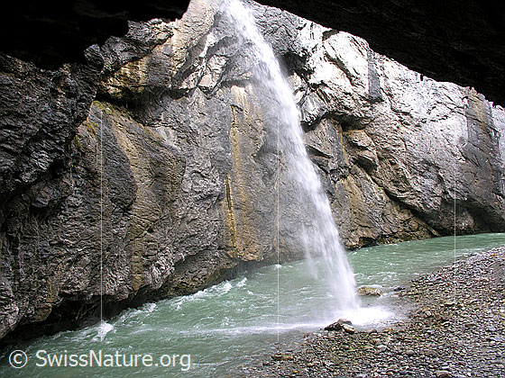 Foto: In einem Wasserfall mündet ein Bach in die Aareschlucht ein.