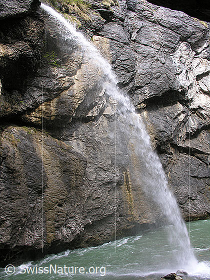 Foto: In einem Wasserfall mündet ein Bach in die Aareschlucht ein.