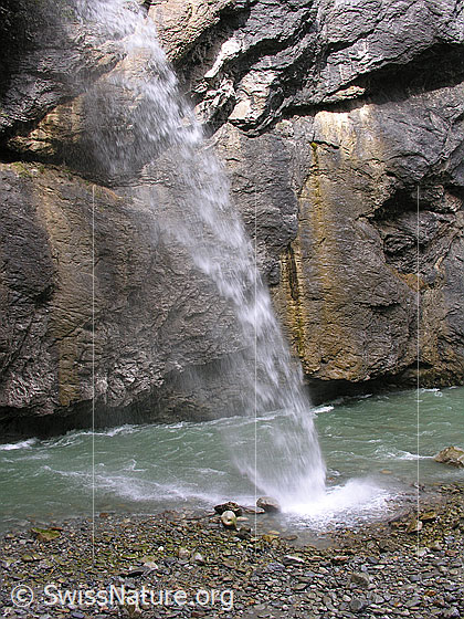 Foto: In einem Wasserfall mündet ein Bach in die Aareschlucht ein.
